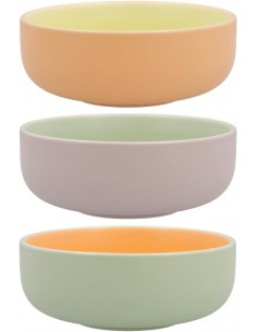 Bowl Porcelana Colores...